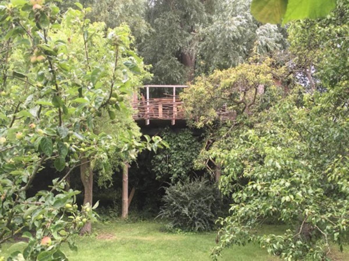 Treehouse B&B Rabjerg Екстериор снимка